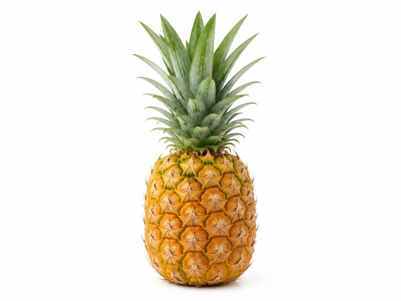 Ananas świeży – białko 0.5g, kalorie 50 kcal, węglowodany i tłuszcz na 100g | zdrowe odżywianie