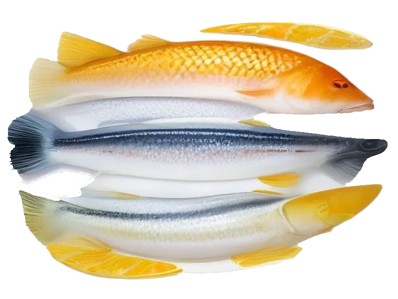 Dorada – białko 20g, kalorie 96 kcal, węglowodany i tłuszcz na 100g | zdrowe odżywianie
