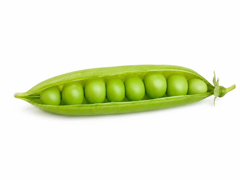 Groszek zielony – białko 5.4g, kalorie 81 kcal, węglowodany i tłuszcz na 100g | zdrowe odżywianie