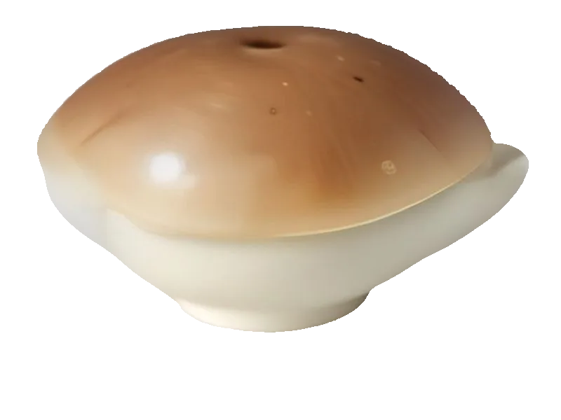 Grzyby shiitake – białko 2.2g, kalorie 34 kcal, węglowodany i tłuszcz na 100g | zdrowe odżywianie