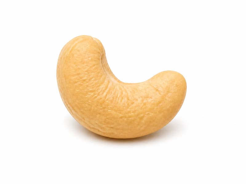 Orzechy nerkowca – białko 18g, kalorie 553 kcal, węglowodany i tłuszcz na 100g | zdrowe odżywianie