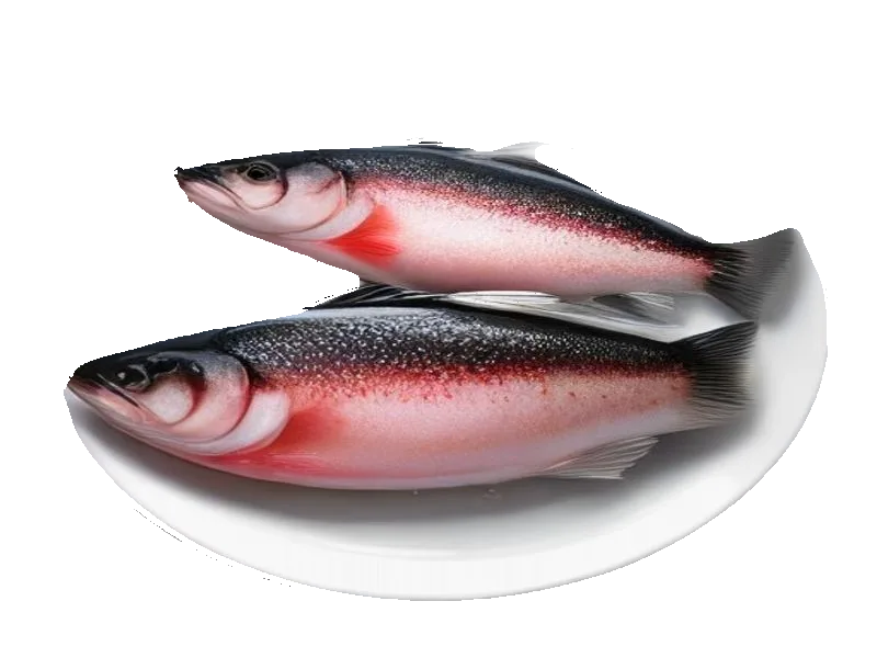 Pstrąg tęczowy – białko 20g, kalorie 141 kcal, węglowodany i tłuszcz na 100g | zdrowe odżywianie