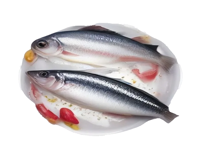 Śledź w śmietanie – białko 12g, kalorie 207 kcal, węglowodany i tłuszcz na 100g | zdrowe odżywianie