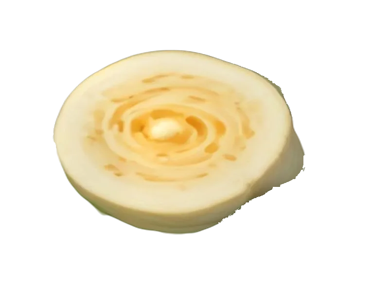 Wrap z halloumi – białko 10g, kalorie 254 kcal, węglowodany i tłuszcz na 100g | zdrowe odżywianie